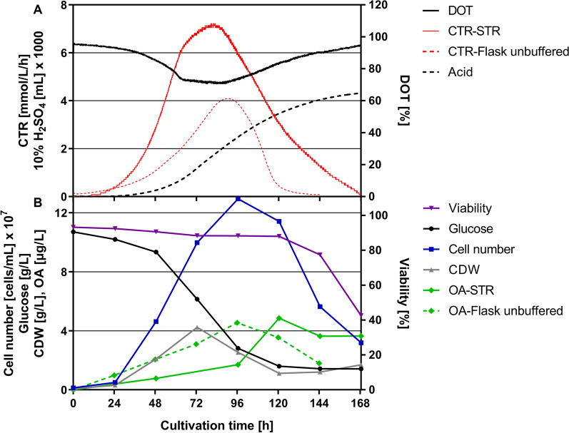 Scale-up of the OA production process from shake flask to 300-L STR based on εmax. After expanding the pre-culture regime from 1.6-L over 7-L to 75-L STR, cells were transferred into a 300-L STR at a cell density of 1 × 107 cells/mL. A Online parameters of D. discoideum pChR7 batch fermentation including carbon dioxide transfer rate (CTR-STR, red solid; CTR-shake flask as reported in Reimer et al., 2022, red dotted), dissolved oxygen tension (DOT, black solid) and sulfuric acid consumption (black dotted) were monitored. B Offline parameters such as cell dry weight (CDW, grey), cell number (blue), glucose consumption (black), viability (violet) and olivetolic acid production (OA-STR, green solid; OA-shake flask, green dotted) are depicted over the course of the fermentation. Culture conditions: 300-L STR; HL5 medium with 10 g/L glucose, 20 µg/mL G418 and 20 µg/mL doxycycline; pH = 6.5 ± 0.05 was maintained by the addition of 10% H2SO4; tip speed: 2.62 m/s; stirring rate = 255 rpm; aeration rate: 0.3 vvm; temperature 22 °C