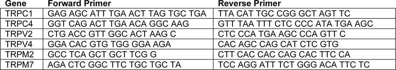 DNA-sequences of qRT-PCR primer pairs