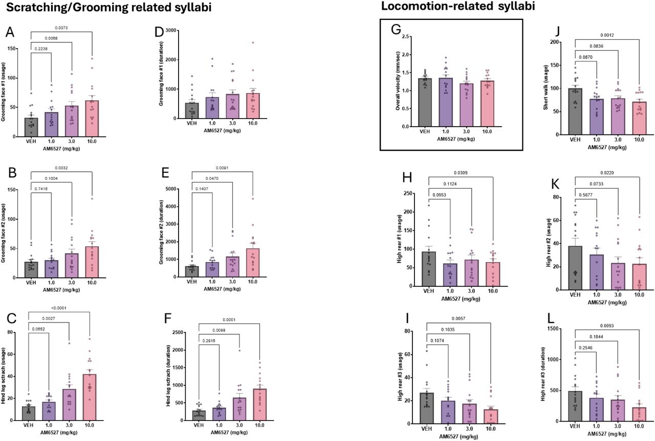 MoSeq analysis detects the alterations in spontaneous behaviors affected by AM6527Usage frequency of grooming face #1 (A) was significantly increased at 3.0 and 10.0 mg/kg (p < 0.05), grooming face #2 (B) was significantly increased at 10.0 mg/kg (p < 0.05), and hind leg scratching (C) was significantly increased at both 3.0 and 10.0 mg/kg (p < 0.05). Duration of grooming face #1 was not significantly affected (D; p > 0.05), while grooming face #2 (E) was significantly increased at 3.0 and 10.0 mg/kg (p < 0.05), and hind leg scratching duration (F) was significantly increased at both 3.0 and 10.0 mg/kg (p < 0.05). (G) AM6527 had no significant effect on overall locomotor velocity (p > 0.05). Usage of high rear motif #1 (H), high rear motif #2 (I), and high rear motif #3 (J) were significantly reduced at 10.0 mg/kg (p < 0.05), as was the duration of high rear motif #3 (L; p < 0.05). Usage of the short walk syllable (K) was also significantly reduced at 10.0 mg/kg (p < 0.05), with non-significant trends at 1.0 and 3.0 mg/kg (p > 0.05). Data are presented as mean ± SEM.