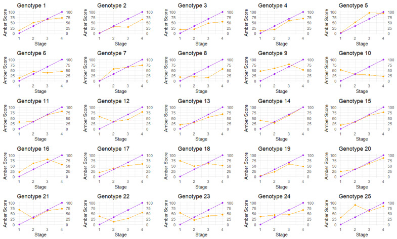 The comparison of mean amber scores using visual versus image analysis in each plant over four amber stages. Purple = manual scoring; orange = automated scoring.