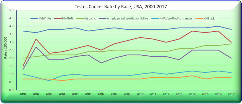 Testicular cancer rates by selected ethnicities