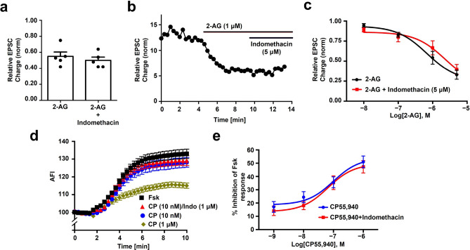 Indomethacin does not act as a positive allosteric modulator in autaptic neurons or in a cAMP assay. (a) Bath-applied 2-AG (1 µM) is not enhanced by indomethacin (5 µM). (b) Sample time course from a). (c) 2-AG concentration response is not altered by 5 min pretreatment with indomethacin (5 µM). (d) Sample time courses showing cAMP responses to forskolin under various treatment conditions. (e) Summary of cAMP responses showing that CP55,940 responses are not altered by inclusion of indomethacin (1 µM).