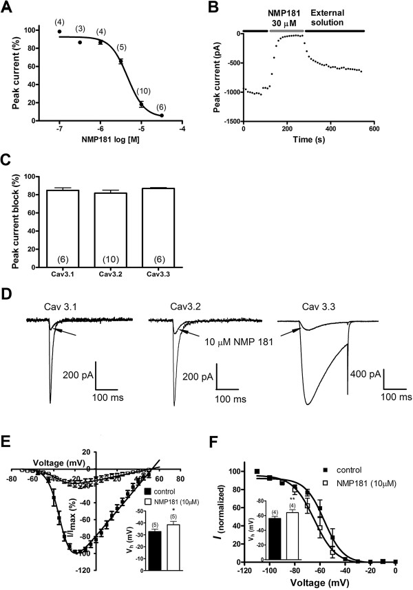 Pharmacological and biophysical properties of NMP-181 block of T-type calcium channels. (A) concentration dependence of NMP-181 inhibition of the CaV3.2 peak current amplitude. The data were fitted with a Hill equation. The half-maximal inhibitory concentration (IC50) from the fit was 4.6 μM and the Hill coefficient was 2.1. Numbers in parentheses reflect numbers of experiments for each concentration point. (B) representative time course of the development of and recovery from NMP-181 (30 μM) inhibition. (C), NMP-181 (10 μM) did not show selectivity on CaV3 channels, as illustrated in the histogram and (D) representative traces from NMP-181 inhibition on CaV3.1, 3.2 and 3.3 currents. Statistical significance was determined by one-way ANOVA followed by a Dunnett’s test, when the data were compared to those from CaV3.2 group. (E) normalized current–voltage relations of CaV3.2 current before and after application of 10 μM NMP-181. The half-activation potentials were -32.7 ± 2.0 mV and -38.4 ± 2.8 mV before and after application of NMP-181, respectively (inset, P < 0.05, paired t test). (F) steady-state inactivation curve obtained from CaV3.2 channels before and after application of 10 μM NMP-181. The half-inactivation potentials were -56.0 ± 2.8 mV and -64.1 ± 4.0 mV before and after the treatment with NMP-181, respectively (inset, P < 0.01, paired t test).