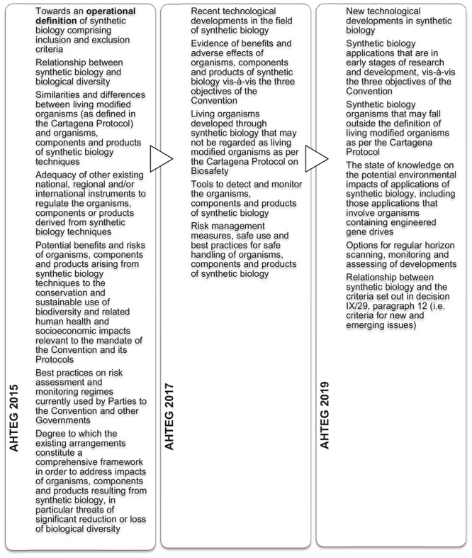 Summary of issues addressed by the AHTEG on Synthetic Biology in 2015, 2017 and 2019.