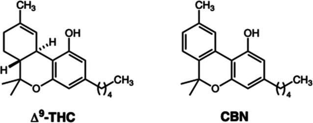 Chemical structures of Δ9-tetrahydrocannabinol (Δ9-THC) and cannabinol (CBN)