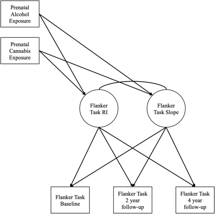 Conceptual figure of prenatal alcohol and cannabis exposure predicting univariate growth curve for flanker task scores. Univariate growth curve for flanker task scores is depicted here; univariate growth curves for all five cognitive abilities were estimated. RI, random intercept.