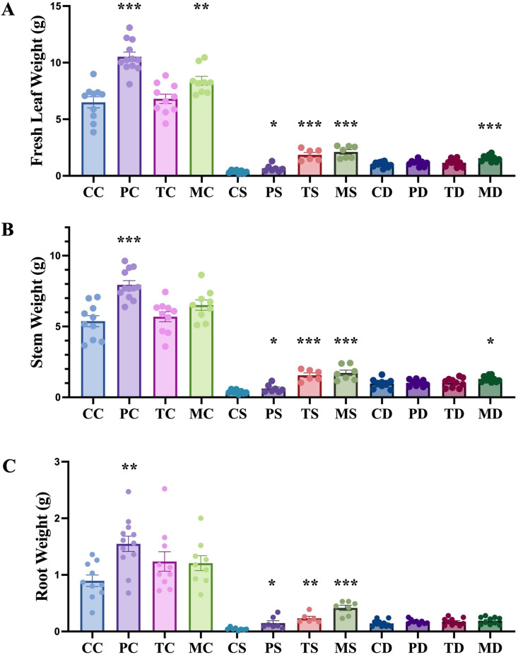 Impact of endophytic fungi on weight of hemp leaf, stem and root, under non-stress, salinity and drought stress conditions.The first letter; C = control, no fungus, P = with Pochonia chlamydosporia, T = with Trichoderma harzianum, M = with Metarhizium robertsii. The second letter; C = control, non-stress, S = salt stress, D = drought stress. Data were analyzed according to the description of statistical analysis. Statistical differences are shown; *P < 0.05, **P < 0.01, ***P < 0.001. Asterisk indicates significant differences in the tested group when compared to that of the un-inoculated control under the same conditions. The dots represent results of the individual biological replicates. Error bars represent standard error of the means.