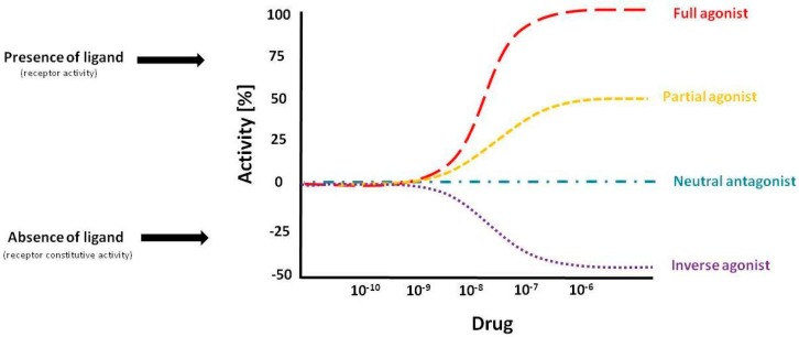 Basic definitions and concepts concerning a receptor and its ligand in pharmacology. A ligand that binds and activates the receptor is called an agonist. Full agonism means a maximum receptor activation, resulting in maximum system response. Partial agonist produces submaximal receptor activation, leading to the production of submaximal system response and possible blockade of full agonist activation. A ligand that binds to a receptor, but does not activate it, or inactivate it, is called an antagonist. Antagonists produce their effects by preventing agonists from binding to the receptor. Antagonists produce no physiological response but rather block the response to endogenous or exogenous agonists. Inverse agonism can be seen when a receptor has high basal activity in the absence of agonist (constitutive activity). Ligand that binds to a receptor and inactivates it, resulting in decreased signaling, is called an inverse agonist. Inverse agonist functions as an antagonist in non-constitutively active systems, but has the added property of actively reducing receptor-mediated constitutive activity of GPCR systems (response not resulting from agonist activation but originated from the system itself). We can also distinguish allosteric agonist, which activates the receptor via interaction at a different site than the endogenous agonist; an allosteric modulator antagonist, which blocks the function of the receptor or interferes with the ligand-receptor interaction; and an allosteric enhancer that enhances the action of agonists [5,25]. Three parameters describe allosteric modulators more quantitatively: Affinity is a parameter describing how strongly a ligand binds to its target; Efficacy describes the degree of effect or response achieved by a specific ligand upon binding to its target; Potency is a parameter describing the activity of a drug by defining how much ligand (concentration) is needed to produce a half-maximal effect.