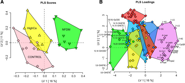 Discriminant analysis clearly segregates dietary treatment groups in a mouse model of pre-existing obesity (Cohort 2). In a pre-existing obesity mouse model (control DIO diet for 12 weeks), a PLS-DA model using 61 plasma lipid metabolites, physiologic measurements, and mRNA abundance in retroperitoneal adipose tissue (A-), liver (L-), and nodose ganglia (N-) illustrates differential distribution between dietary treatment groups. A plots the latent variable 1 (LV1; X axis) and 2 (LV2; Y axis) scores for each mouse fed 0.5% calcium (Control; pink) and 1.5% calcium (HighCa; yellow) or 1.5% calcium + nonfat dry milk (NFDM; green), while B plots the variable weights in these axes. Variables were grouped and color coded based on a hierarchical cluster analysis. Selected variables from clusters and lipid classes driving group segregation are labeled (for a complete list of variables, see Additional file 3: Tables S3 and S4). Plasma fatty acid diols cluster together (green cluster) and are reduced in NFDM-fed mice relative to Control and HighCa-fed mice. Conversely, monoacylglycerols cluster with a variety of adipose, liver and nodose ganglia gene expression levels (purple cluster), and are elevated in the NFDM-fed mice.