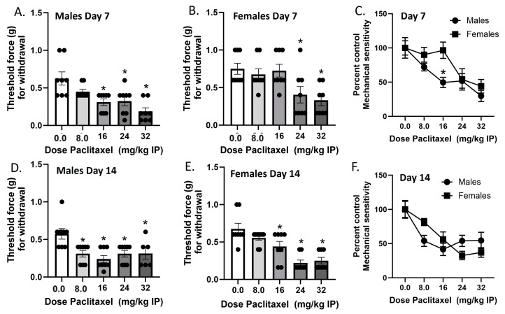 Paclitaxel lowers threshold for paw withdrawal in male (A,D) and female (B,E) C57Bl/6 mice. Mice are treated with vehicle or increasing doses of paclitaxel on Days 1, 3, 5, and 7 in a between-subjects design (n = 8/group). Mechanical sensitivity is measured on Days 7 (A–C) and 14 (D–F). Results demonstrate that a higher dose of paclitaxel is required to significantly lower threshold to response to tactile stimulation using Von Frey filaments on Day 7 (C) but not Day 14 (F). (A,B,D,E) One-way ANOVAs with Dunnett’s multiple comparison tests, * = p < 0.05 as compared to vehicle control. (C,F) Two-way ANOVAs with Sidak’s multiple comparison test, * = p < 0.05.