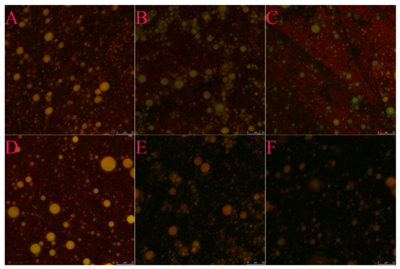 Microstructure of emulsion at different concentrations of SE. ((A–C) represent the microstructure of SPI-SE emulsion (SE0%, 0.75%, 1.5% w/v); (D–F) represent the microstructure of WPI-SE emulsion (SE0%, 0.75%, 1.5% w/v)).