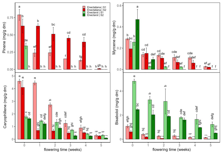Terpene content (α-pinene, myrcene, caryophyllene, and bisabolol; mg/g dm) in Enectaliana and Enectarol cultivars from 0 to 5 flowering weeks for two planting densities (Sector 1 (S1) ≈ 2.3 plants m−2; Sector 2 (S2) ≈ 4.6 plants m−2). Different letters indicate significant differences (p < 0.05).
