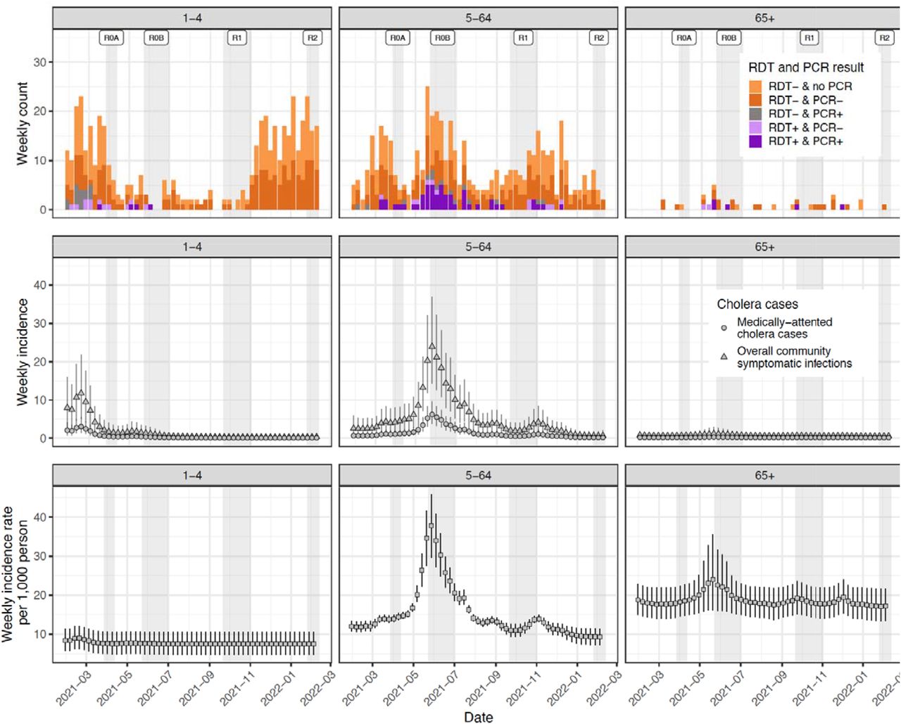Weekly suspected cases (top row), symptomatic infections (middle row), and exposures/infections (bottom row) by age group.The top row illustrates the weekly number of suspected cases colored by RDT and PCR results (culture results not shown). All suspected cases were tested by RDT but only positives and around half of negatives were tested by PCR. The middle row illustrates weekly estimates of the number of true cholera cases seeking care at study facilities (circles) with triangles representing the estimates of the true number of symptomatic cases both in facilities and the community. The bottom row represents estimates of the number of weekly infections that elicit an immunologic boost, as inferred from longitudinal vibriocidal titers. Vertical bars across the middle and bottom rows represent the 95% credible intervals.