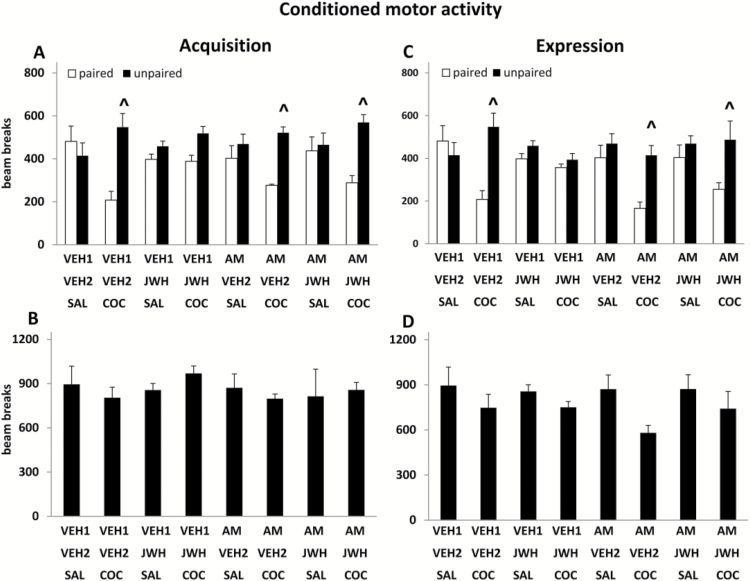Effects of JWH-133 on cocaine-elicited conditioned motor activity. (A) Motor activity in drug-paired and unpaired chambers on test day, after pre-pairing administration of JWH-133 and/or AM630 during conditioning. (B) Total motor activity (drug-paired + unpaired chambers) on test day, after pre-pairing administration of JWH-133 and/or AM630 during conditioning. (C) Motor activity in drug-paired and unpaired chambers on test day, after JWH-133 and/or AM630 administration on test day. (D) Total motor activity (drug-paired + unpaired chambers) on test day, after JWH-133 and/or AM630 administration on test day. COC, 20 mg/kg cocaine; JWH, 10 mg/kg JWH-133; AM630, 5 mg/kg AM. ∧ compared with unpaired chamber.
