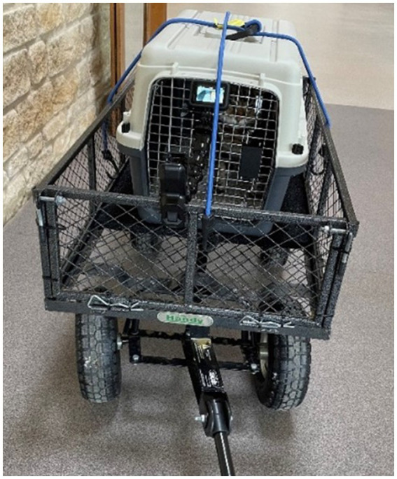 A photo of the cat carrier mounted within the trolley using two crossed bungy cables utilised during the “carrier travel” portion of the stress paradigm.