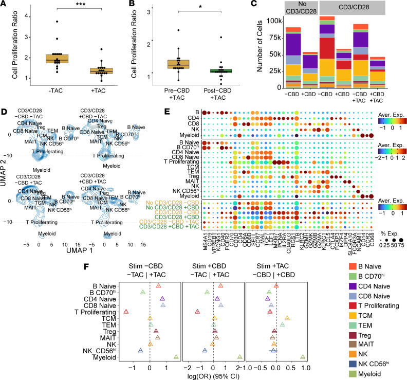 Pharmacodynamic interactions between CBD and tacrolimus.Immune interactions between CBD and tacrolimus (TAC) were explored. Cells were exposed to CBD in vivo for 11 days, whereas TAC was added to cells ex vivo. (A) Cell proliferation was assessed by CellTiter-Glo assay in 2 conditions: CD3/CD28 –TAC (N = 17) and CD3/CD28 +TAC (N = 17). As expected, CD3/CD28 +TAC had reduced proliferation in the absence of CBD compared with CD3/CD28 –TAC (***P < 0.001, 2-tailed t test with Bonferroni’s correction for multiple comparisons). (B) The effect of TAC on proliferation with and without CBD was compared in the pre-CBD (N = 17) and post-CBD (N = 18) time points. The relative proliferation of post-CBD +TAC was reduced compared with the pre-CBD +TAC condition (*P < 0.05, 2-tailed t test). All CD3/CD28 conditions were normalized to the No CD3/CD28 conditions to determine change in proliferation in response to CD3/CD28. (C) Quantitation of absolute cell number in each scRNA-Seq condition with/without CBD and TAC, split by level 2 annotation. Number of cells: No CD3/CD28 –CBD –TAC = 91,865; No CD3/CD28 +CBD –TAC = 54,914; CD3/CD28 –CBD –TAC = 108,423; CD3/CD28 +CBD –TAC = 59,560; CD3/CD28 –CBD +TAC = 96,914; CD3/CD28 +CBD +TAC = 47,468. (D) scRNA-Seq cell density plot across conditions with/without CBD and TAC in the stimulated conditions. (E) Marker gene expression comparisons at different annotation resolutions and across the 6 conditions. Dot plot shows average expression and cell percentage of pan-marker genes for PBMCs and B, T, NK, and myeloid cells. (F) Cell type distribution is expressed as an odds ratio for the level 2 annotation and displayed in a forest plot for 3 comparisons: left, pre-CBD –TAC vs. pre-CBD +TAC; middle, CD3/CD28 post-CBD –TAC vs. CD3/CD28 post-CBD +TAC; right, CD3/CD28 pre-CBD +TAC vs. CD3/CD28 post-CBD +TAC. For each cell type, the triangle marks the estimated difference in proportions between pre- and post-CBD time points, and the horizontal line depicts its 95% CI. A CI that intersects the vertical dashed null line indicates no statistically significant difference, whereas intervals that remain entirely on one side denote significance at P < 0.05.