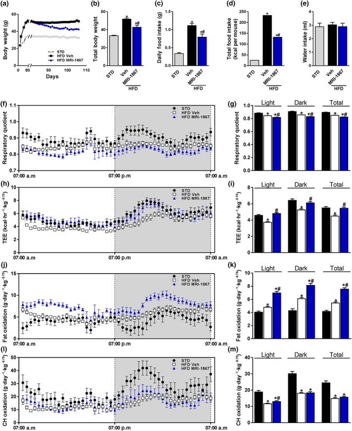 MRI‐1867 improves the metabolic profile in diet‐induced obese mice. Male mice on standard diet (STD) or high‐fat diet (HFD) for 18 weeks were treated with vehicle (Veh) or MRI‐1867 (3 mg·kg−1) orally for 28 days. MRI‐1867 reduced (a, b) the body weight, (c) daily, and (d) the total food intake but not (e) the water intake. Metabolically, MRI‐1867 decreased (f, g) the respiratory quotient, which indicates a higher fat utilization, and increased (h, i) total energy expenditure (TEE) and (j, k) fat oxidation, without affecting (l, m) carbohydrate oxidation. Data represent the mean ± SEM from 8 to 14 mice per group. * P < .05, significantly different from animals on STD; # P < .05, significantly different from animals on the same diet; one‐way ANOVA, followed by a Bonferroni post hoc test