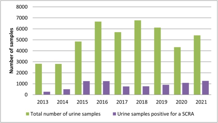 Annual total number of analysed urine samples (green) versus the number of samples positive for at least one synthetic cannabinoid receptor (SCRA) (purple); study period: 2013–2021.