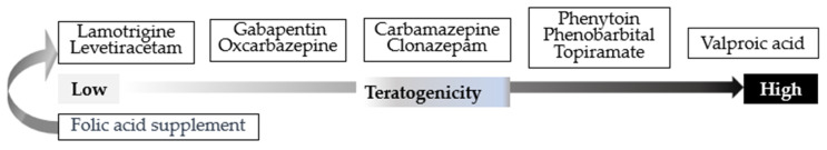 Relative teratogenic risk spectrum of commonly used antiseizure medications during pregnancy.