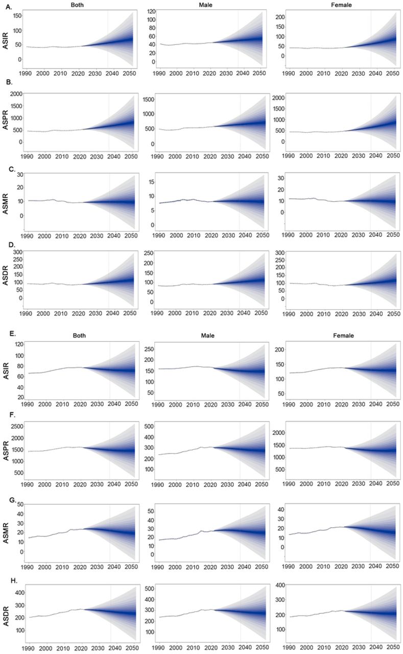 BAPC of AF/AFL in China and South-East Asia Region Predictions ofAF/AFL trends was projected by BAPC-INLA model. The projected ASRs of incidence (A), prevalence (B), death (C), and DALYs (D) for AF/AFL by gender from in China form 1990 to 2050. The projected ASRs of incidence (E), prevalence (F), death (G), and DALYs (H) for AF/AFL by gender from in South-East Asia Region from 1990 to 2050. The dots represent the observed values, and the fan shape represent the predictive distribution between the 2.5 and 97.5 % quantiles. The solid line represents the predicted ASRs during 2020-2050.