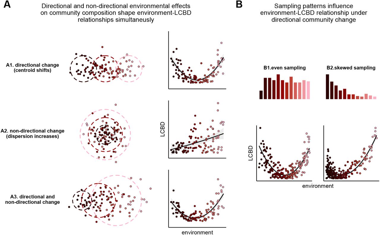LCBD-environment relationships depend on directional and non-directional environmental effects on community composition, and how environmental gradients have been sampled. Colour gradient represents a hypothetical environmental variable. (A) Example of three patterns of variation in community composition driven by directional and/or non-directional environmental effects (left), and resulting environment-LCBD relationships (right). (B) Effect of sampling patterns (top) on environment-LCBD relationship (bottom) under directional community change.