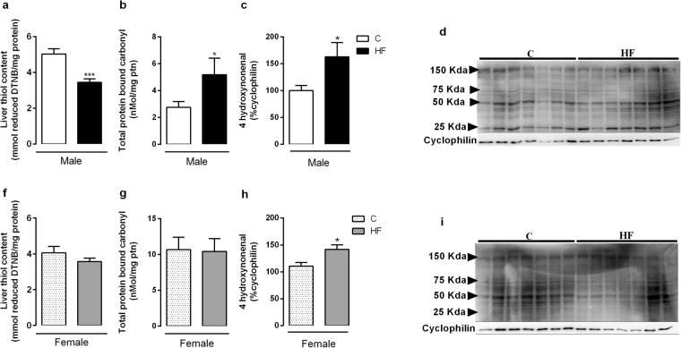 Effect of maternal HF diet on hepatic biomarkers of oxidative stress: thiol content (a,f), total protein bound carbonyl (b,g) and 4-HNE (c,h) in both male and female offspring at 180-day-old. Representative western blot bands for each protein were showed (d,i). Data is expressed as mean ± S.E.M., n = 7–8 per group; *p < 0.05, ***p < 0.0001, by Student’s t test.