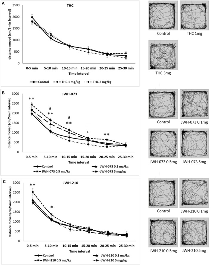 Open field test (OFT): Trajectory length (divided into 5-min blocks) and trajectory pattern over the entire 30 min period test. (A) Δ9-THC (1 or 3 mg/kg, sc.) error bars display ± 1 SEM. (B) JWH-073 (0.1, 0.5 or 5 mg/kg, sc.) error bars display ± 1 SEM. #p < 0.05 for JWH-073 0.1 mg/kg, sc., **p < 0.01 for JWH-073 0.5 mg/kg, sc. and +p < 0.05 for JWH-073 5 mg/kg, sc. vs. vehicle group. (C) JWH-210 (0.1, 0.5, and 5 mg/kg, sc.), error bars display ± 1 SEM. JWH-210 (0.5 mg/kg, sc.) *p < 0.05; JWH-210 (0.5 mg/kg, sc.) **p < 0.01 vs. vehicle group.