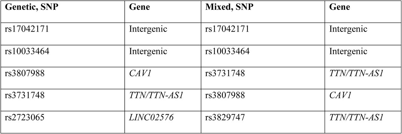 Table of the SNPs with the highest feature importance for the genetic, and mixed atrial fibrillation linear models