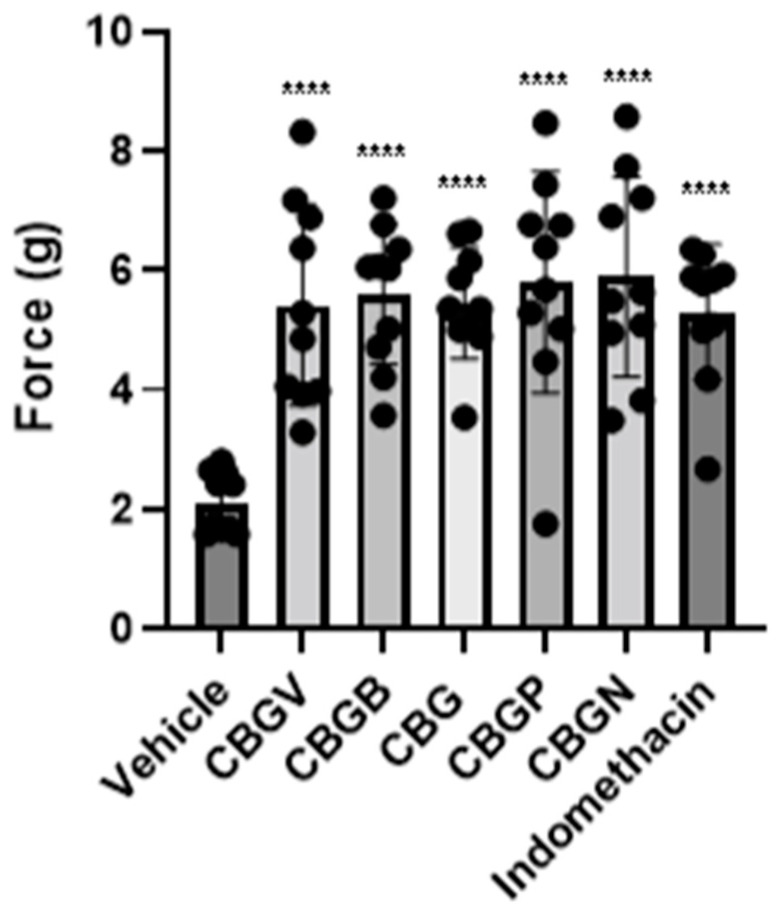 Effect of CBG side-chain variants on mechanical sensitivity. Neuropathic male mice were treated with 10 mg/kg of vehicle, side-chain variant of CBG, or indomethacin as a positive control and mechanical sensitivity was assessed using von Frey filaments. n = 10 mice per group, **** p ≤ 0.0001.