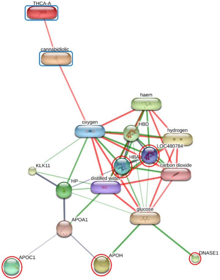 Network diagram illustrating interactions between various biochemical substances and proteins, including THCA-A, cannabidiol, oxygen, haem, hydrogen, glucose, and carbon dioxide, with relationships represented by green and red connecting lines. Several nodes are highlighted with blue or red outlines, indicating significance or focus, and molecular structures are depicted within some nodes.