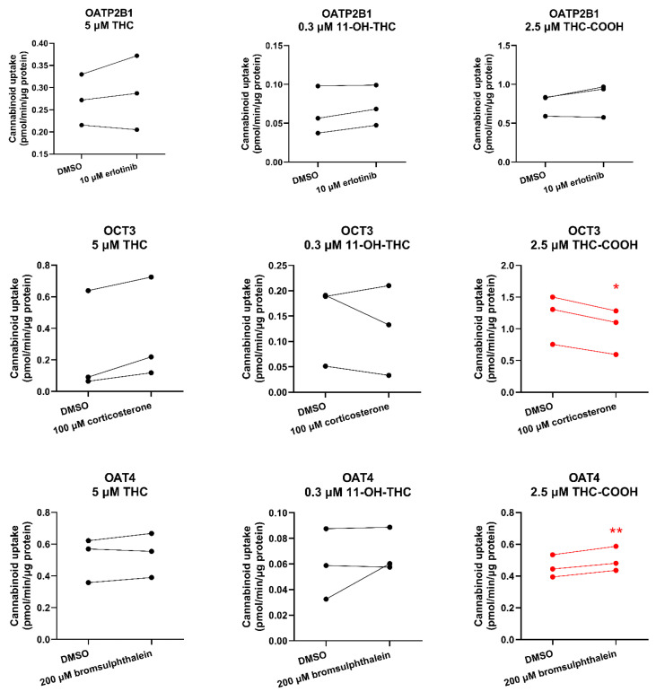Cannabinoids as substrates of placental transporters. Uptake (over 15 s) of 5 μM THC, 0.3 μM 11-OH-THC, and 2.5 μM THC-COOH by HEK cells overexpressing human placental transporters in the absence or presence of the prototypic inhibitors of the respective transporter (10 μM erlotinib for OATP2B1, 100 μM corticosterone for OCT3, 200 μM bromsulphthalein for OAT4). Data on the y-axis are the uptake rate of the cannabinoid normalized to protein concentration. Data are from three independent experiments, each conducted in triplicate. Technical variability within each independent experiment is shown in Table S1. Statistically significant differences in cannabinoid uptake in the presence or absence of the prototypic inhibitor (marked in red) were determined using the paired t-test. * p < 0.05; ** p < 0.01.