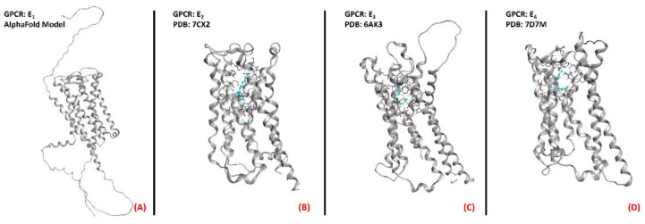 Structure ofthe PGE2 receptors (A) EP1 (with no experimentally resolved structure available, the model sourced from the AlphaFold database is presented), (B) EP2 (sourced from the Protein Data Bank, PDB code: 7CX2 [149], method: cryo-EM, resolution: 2.80 Å), (C) EP3 (sourced from the Protein Data Bank, PDB code: 6AK3 [150], method: X-ray diffraction, resolution: 2.90 Å), and (D) EP4 (sourced from the Protein Data Bank, PDB code: 7D7M [151], method: cryo-EM, resolution: 3.30 Å). All of the images were created and rendered with MOE.
