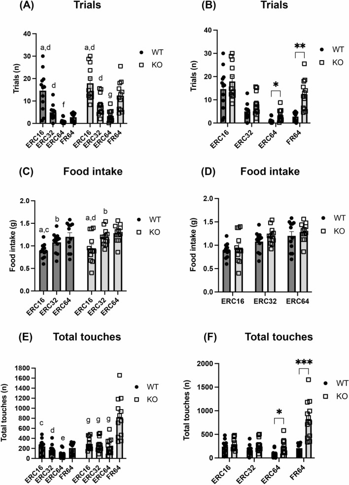 Behavioural outputs of WT and α-DB KO mice on the ERC task. Both WT and α-DB KO mice completed significantly fewer trials between ERC16, ERC32 and ERC64 (a). The number of completed trials increased significantly between ERC64 and FR64 in both mouse groups (a). In addition, α-DB KO mice completed significantly more trials than WT mice on the ERC64 and FR64 tasks (b). The amount of food consumed during the trial was significantly increased between the ERC16, ERC32 and ERC64 schedules in both WT and KO mice (c). Food intake did not differ between WT and α-DB KO mice during any of the ERC tasks (d). Total touches decreased significantly between ERC16, ERC32 and ERC64 in WT mice but remained stable in KO animals (e), while KO mice made more touches than WT animals in ERC64 and FR64 (f). n = 12/group. For within-group comparisons (a, c, e), a = p < 0.01 vs. ERC32, b = p < 0.05 vs. ERC64, c = p < 0.01 vs. ERC64, d = p < 0.001 vs ERC64, e = p < 0.05 vs. FR64, f = p < 0.01 vs. FR64, g = p < 0.001 vs FR64, two-way repeated measures ANOVA with Sidak’s post-hoc. For between-group comparisons (b, d, f), *p < 0.05, **p < 0.01, ***p < 0.001 vs KO, two-way repeated measures ANOVA with Sidak’s post-hoc