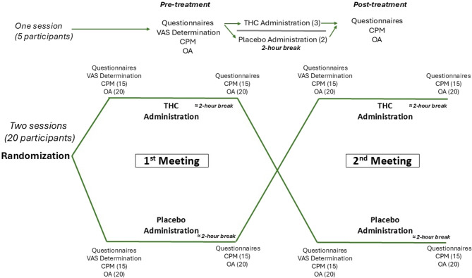 Illustrative paradigm of the study design, showing drug crossover randomization (THC vs. placebo) and pain assessment procedures. Participants who completed both experimental sessions underwent the McGill questionnaire (N = 20), VAS60 test (N = 20), CPM (N = 15), and OA (N = 20) at baseline, followed by the intervention. Each intervention consisted of either placebo or THC, administered in a counterbalanced, double-blind, randomized design. After a two-hour rest period, participants repeated the McGill questionnaire, CPM, and OA. Intervention sessions were separated by 2–6 weeks