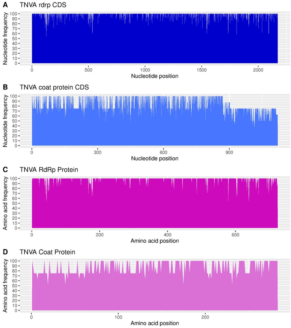 Conservation Patterns of Genes and Proteins in Tobacco Necrosis Virus A (TNVA)This figure illustrates the conservation patterns of genes and proteins, specifically the RdRp polymerase and the coat protein, in Tobacco Necrosis Virus A (TNVA).Panel (A) and Panel (B) present area plots showing the frequency distribution of the most conserved nucleotide across the entire gene of the RdRp polymerase and the coat protein coding sequences (CDS) of TNVA, respectively. The x-axis represents the position of the nucleotide, while the y-axis denotes the frequency of the most common nucleotide at each position.In Panels (C) and (D), the area plots depict the conservation patterns across the RdRp polymerase (C) and the coat protein (D) of TNVA at the amino acid level. Here, the x-axis indicates the position of the amino acid residues, while the y-axis displays the frequency percentage of the most prevalent amino acid.