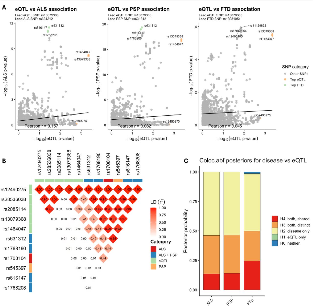 Oligodendrocyte eQTLs at the MOBP locus show weak correspondence with ALS, FTD, and PSP genetic riskA) Scatterplots comparing SNP-level eQTL association strength (–log□□ p) with GWAS association strength for ALS, PSP and FTD across the MOBP locus (±1 Mb). Each point represents a shared SNP between datasets. Linear regression lines and Pearson correlation coefficients are shown. Lead SNPs (highest (–log□□ p)) for each dataset are indicated. Top 3 SNPs for each dataset are coloured orange (eQTLs) and green (disease), and don’t seem to overlap. B) Pairwise linkage disequilibrium (LD; r2) between SNPs within the MOBP locus is shown as a triangular heatmap. Each diamond represents the LD between a pair of variants, with colour intensity indicating the strength of correlation (white to red corresponding to r2 == 0 to 1). Numerical values within each cell denote the corresponding r2. Variants are annotated by association category, indicated by coloured bars along the axes: SNPs associated with ALS (red), PSP (orange), shared ALS+PSP signal (blue), and eQTLs (green). C) COLOC.ABF posterior probabilities for eQTL–GWAS colocalization reveal no evidence of colocalisation. ALS, amyotrophic lateral sclerosis; PSP, progressive supranuclear palsy; FTD, frontotemporal dementia; SNP, single-nucleotide polymorphism; PP, posterior probability; eQTL, expression quantitative trait loci; ABF, approximate Bayesian factor; LD, linkage disequilibrium.