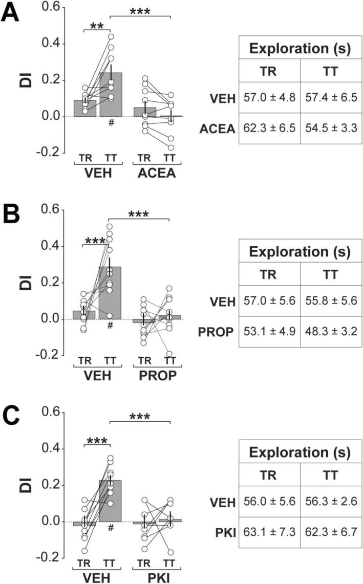 Post‐training CB1R activation, βAR blockade, or PKA inhibition impairs ORM consolidation. (a) Naïve adult male Wistar rats implanted with bilateral infusion cannulas targeting the dorsal CA1 region were habituated to the training arena without objects for 5‐min per day over four consecutive days. One day after the final habituation session, animals were trained (TR) in the NOR task with two different, but behaviorally equivalent objects (A and B), and 5‐min post‐training received intra‐CA1 infusions of vehicle (VEH; 0.1% DMSO in sterile saline), or the CB1R agonist ACEA. ORM retention was assessed 1‐day later (TT) with familiar object A and novel object C. Left panel: Discrimination index (DI) during TR and TT. Right panel: Total exploration time during TR and TT. (b) Animals were trained, treated, and tested as in (a) but received VEH or the βAR antagonist propranolol (PROP) in dorsal CA1. (c) Animals were trained, treated, and tested as in (a) but received VEH or the PKA inhibitor myristoylated PKI14–22 (PKI) in dorsal CA1. Discrimination indices (DIs) and exploration times are expressed as mean ± SEM (n = 8–10 per group). Dashed lines represent chance performance. Statistical significance: #p < 0.05 in one‐sample t‐test vs. theoretical mean of 0. **p < 0.01 and ***p < 0.001 in Bonferroni's post hoc test after two‐way ANOVA. Normality was assessed using D’Agostino‐Pearson or Shapiro–Wilk tests.