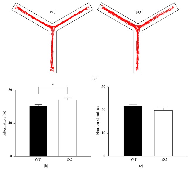 Spatial working memory of CB2R KO mice is enhanced when assessed with a spontaneous alternation test in a Y-maze. (a) Representative tracking of mouse movement for 3 min in a Y-maze. Consecutive entries into three different arms were counted as an alternation. (b) KO mice displayed a higher rate of spontaneous alternation compared with WT mice. ∗ P = 0.012, t-test. (c) The total number of arm entries was not significantly different between the two strains. Error bars represent SEM.