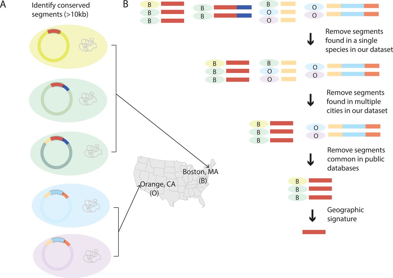 Methodology to identify highly conserved and contiguous plasmid-borne geographic signatures.a, Five bacterial isolates (colored by species) with conserved plasmid segments highlighted in different colors. The geographic location (city of isolation) is indicated for each. b, Depiction of algorithm to identify geographic signatures. Conserved segments are colored. Species and hospital of isolation are indicated for each segment.