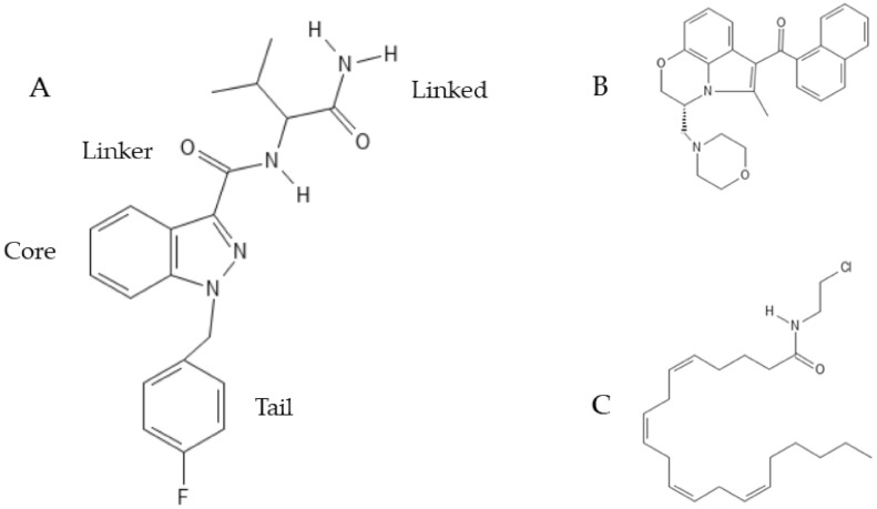 Synthetic cannabinoid structure and chemical structures of two synthetic cannabinoids mentioned in this review. (A) General structure of a synthetic cannabinoid according to the European Monitoring Center for Drugs and Drugs Addiction. The different structure of the four groups influences the properties of the drug. (B) Chemical structure of WIN-55,212-2; (C) chemical structure of Arachidonyl-2’-chloroethylamide (ACEA).
