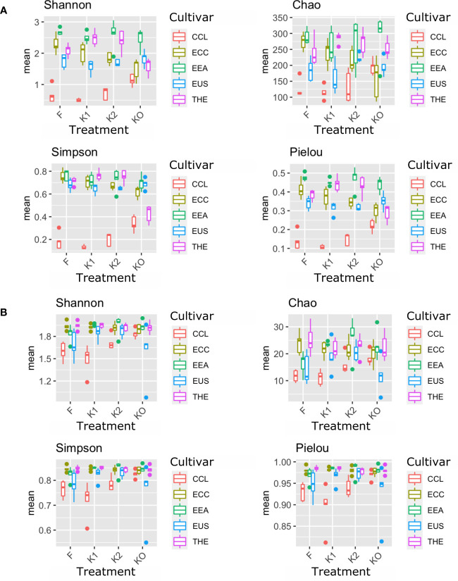 Microbial diversity and structure of the fungal community. The analysis of alpha diversity measured by Shannon, Simpson, Chao, and Pielou of the fungal community in roots (A) and rhizosphere soil (B). The analysis included four Cannabis cultivars: CBD Therapy (THE), Euforia (EEA), Critical (CCL), CBD Sweet and Sour Widow (ECC), and CBD US (EUS) under different treatments with Ferticann (F), microbial suspension (K1), of R. irregularis mixed with microbial suspension (K2), and control (K0).