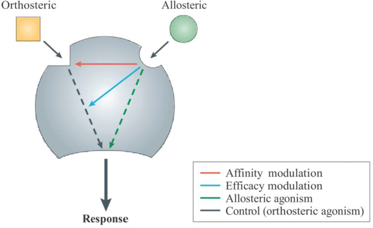 Mechanistic summary of allosteric receptor modulation.Figure used with permissions from [138].