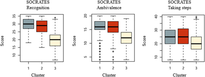 Representation of SOCRATES subscales between the 3 clusters. SOCRATES: Stage of Change Readiness and Treatment Eagerness Scale.