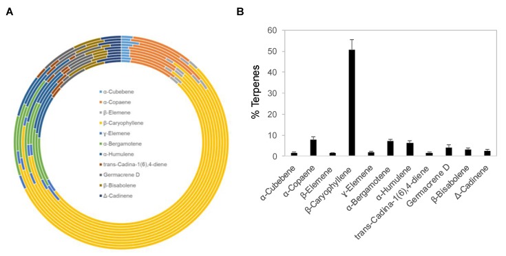 Terpene composition of copaiba essential oil. (A) Distribution of 11 major terpenes in 10 different batches of copaiba essential oil. Terpene composition was analyzed with gas chromatography coupled with mass spectrometry. (B) Percentages of 11 major terpenes in copaiba essential oil. The error bars represent the standard deviations across 10 different batches of copaiba essential oil.