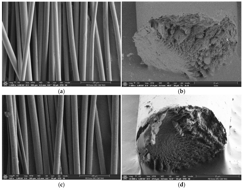 SEM images of the surface and cleavages of fibers (a,b) no. I and (c,d) no. II at different zoom.