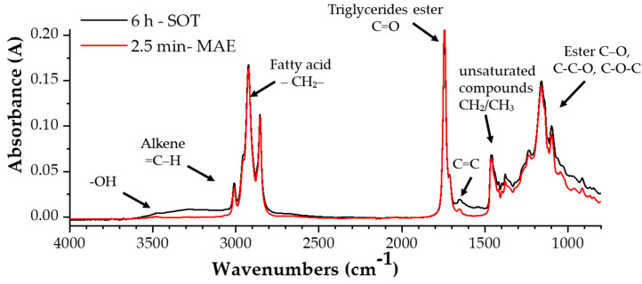 FTIR-ATR spectra of hemp seed oil obtained with different extraction procedures and at different times (SOT for 6 h and MAE for 2.5 min), in the region between 4000 and 600 cm−1.