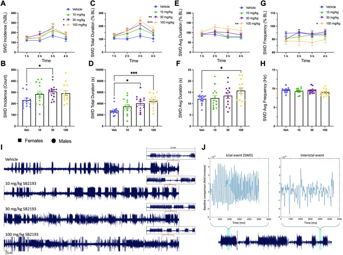 SB2193 increased spike and wave discharge (SWD) incidence and duration in GAERS (males: n = 9; females: n = 5). SB2193 treatments (Veh, 10, 30, 100 mg/kg) were administered (i.p.) ∼20 min prior to EEG recordings (4 h). SWDs are reported as the normalized percentage change from baseline (A, C, E, G) and raw data sampled over the 4 h recording window (B, D, F, H). Representative EEG traces show 30 min samples from a single rat following the four treatments; insets depict zoomed-in 2 min traces (I). SWD event durations were assessed semi-autonomously using Matlab (script = “EEG Seizure Analyzer”) and confirmed by an experimenter based on pre-established criteria (7–12 Hz; burst activity > 3x baseline for at least >0.5 m). (J) Panels show a Matlab-produced SWD event (top left) alongside an interictal event (top right) and events are highlighted within an expanded 2 min sample trace (bottom). Compared to vehicle, 30 and 100 mg/kg SB2193 increased SWD incidence (A). SB2193 dose-dependently increased SWD total duration (C) and 100 mg/kg SB2193 increased average duration (E). No significant effect of treatment on SWD average frequency was observed (G). Similarly, raw data analyses revealed an increase in SWD incidence at 30 mg/kg, total duration at 30 and 100 mg/kg (D) and average duration at 100 mg/kg (F). Values are reported as mean ± SEM and significance is denoted as p = 0.05*, 0.01** or 0.001***. Males and females were pooled for these analyses; however, sex has been differentiated in the figures for clarity (circles, males; squares, females). BL: baseline; Veh: vehicle; Avg: average. See Results for details of statistical analyses.