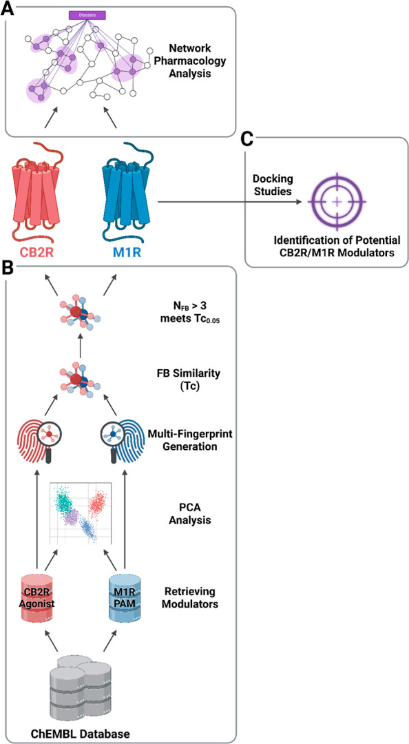 Computational pipeline for identifying CB2R-M1R dual modulators. (A) Investigating the pharmacological network of CB2R and M1R. (B) Molecular descriptor analysis to pinpoint structural similarities between CB2R agonists and M1R PAMs. (C) Docking-based screening of the top dual-target candidates against both receptors. Created in BioRender. Isawi, I. (2026) https://BioRender.com/15n0uqd.