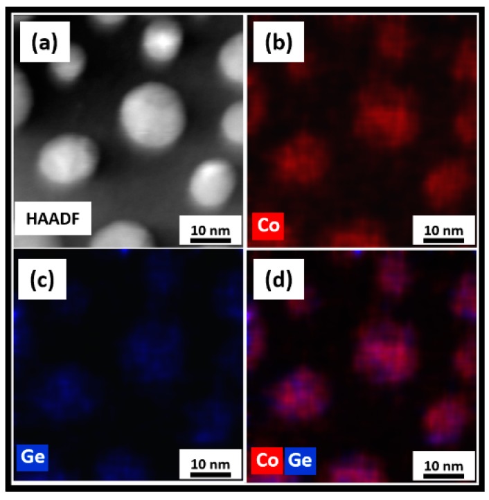 Scanning transmission electron microscope (STEM) studies on the as-made Co2Ge NPs: (a) A high-angle annular dark-field (HAADF) image and the corresponding energy dispersive spectroscopy (EDS) elemental color mappings showing; (b) Co; (c) Ge; and (d) Co and Ge distributions.