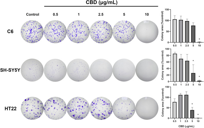 Three rows of cell colony formation assay images for C6, SH-SY5Y, and HT22 cell lines show decreasing purple-stained colonies with increasing CBD concentrations from control to 10 micrograms per milliliter. To the right of each row, bar graphs quantify colony area percentage relative to control, demonstrating a dose-dependent decline for all cell lines, with near-complete inhibition at 10 micrograms per milliliter.